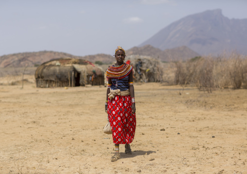 Rendille tribeswoman wearing traditional headdress and jewellery, Marsabit district, Ngurunit, Kenya