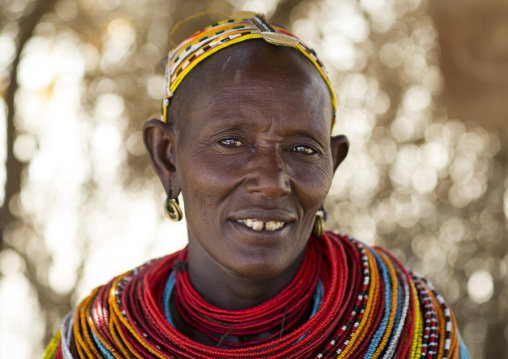 Rendille tribeswoman wearing traditional headdress and jewellery, Marsabit district, Ngurunit, Kenya