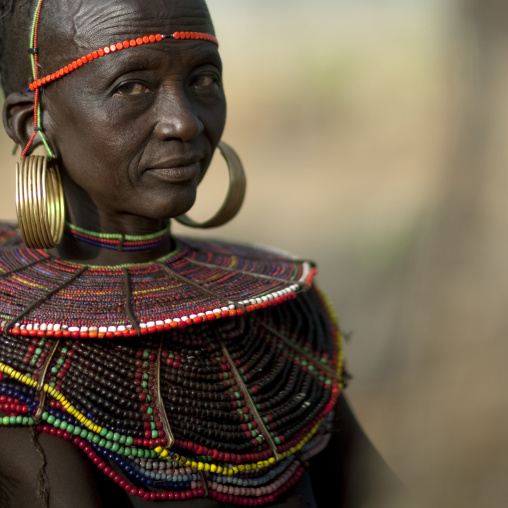 Portrait of a Pokot tribe woman with huge necklaces and earrings, Baringo County, Baringo, Kenya