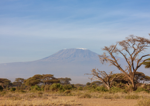 kilimanjaro view from the plain, Kajiado County, Amboseli park, Kenya