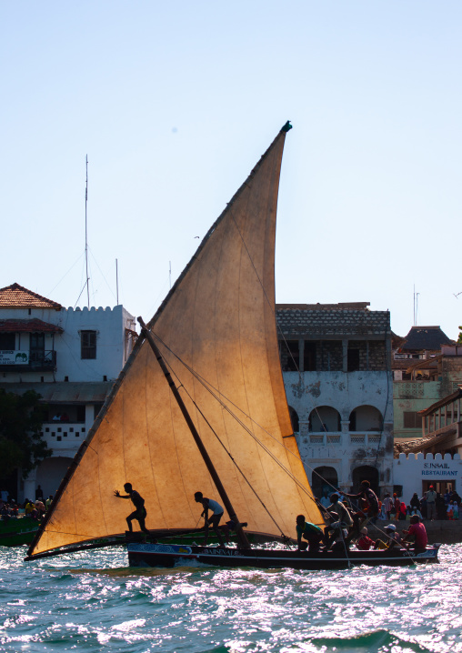 Dhow race during the Maulid festival, Lamu County, Lamu, Kenya