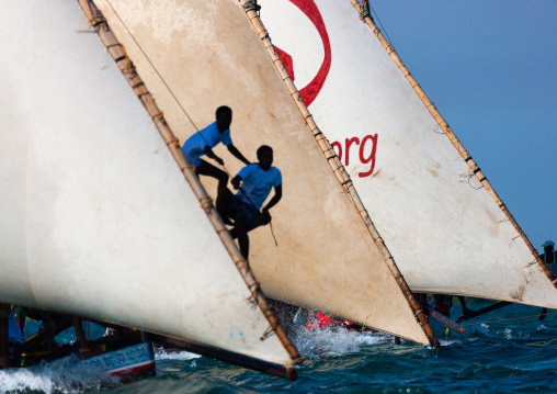 Dhow race during the Maulid festival, Lamu County, Lamu, Kenya