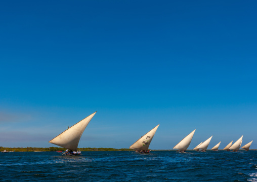 Dhow sailing on indian ocean, Lamu County, Lamu, Kenya