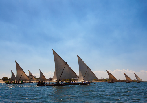 Dhows sailing during the Maulid festival race, Lamu County, Lamu, Kenya