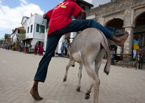 Donkey race during the Maulid festival, Lamu County, Lamu, Kenya