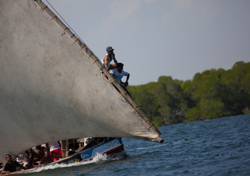 Dhow race during the Maulid festival, Lamu County, Lamu, Kenya