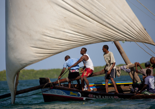 Dhow race during the Maulid festival, Lamu County, Lamu, Kenya