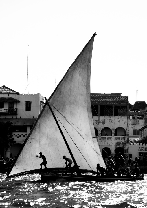Dhow race during the Maulid festival, Lamu County, Lamu, Kenya