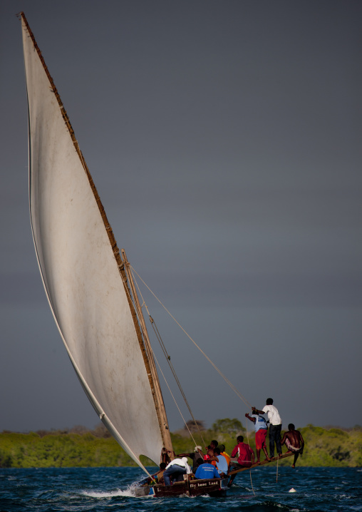 Dhow race during the Maulid festival, Lamu County, Lamu, Kenya