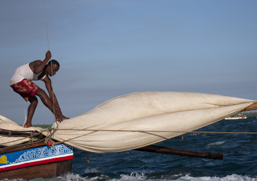 Dhow race during the Maulid festival, Lamu County, Lamu, Kenya