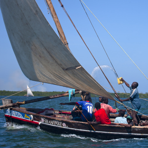 Steerage of dhow during Maulid festival, Lamu County, Lamu, Kenya