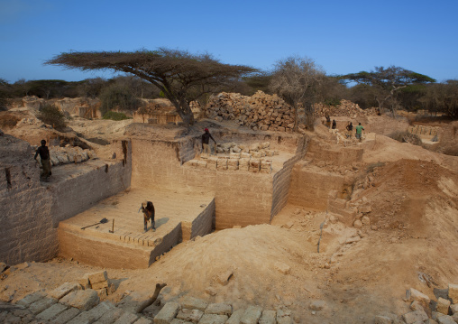 Men working in a coral stone quarry, Lamu County, Lamu, Kenya
