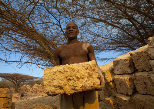 Man working in the coral stone quarry on Manda island, Lamu County, Lamu, Kenya