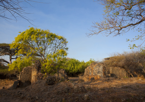 Mosque in Takwa ruins, Lamu County, Manda island, Kenya