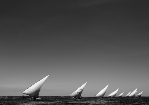 Dhow sailing on indian ocean, Lamu County, Lamu, Kenya