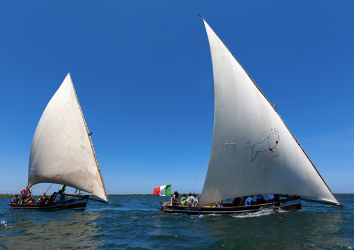 Dhow race during the Maulid festival, Lamu County, Lamu, Kenya