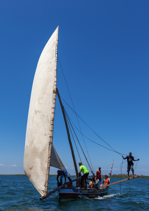 Dhow race during the Maulid festival, Lamu County, Lamu, Kenya