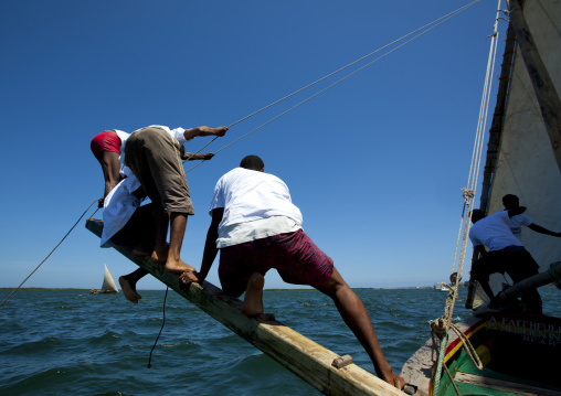 Steerage of dhow during the Maulid festival race, Lamu County, Lamu, Kenya