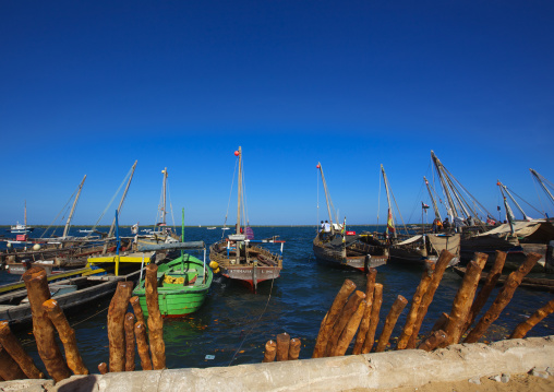 Mangrove wood on the port, Lamu County, Lamu, Kenya