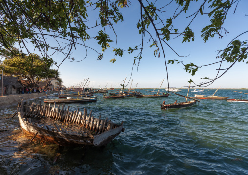 Dhows on the waterfront, Lamu County, Lamu, Kenya