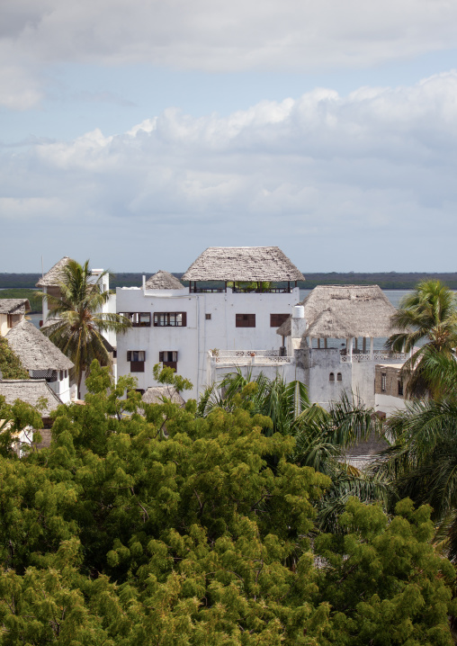 Stone townhouses and luxury mansions with thatched roofs, Lamu County, Shela, Kenya