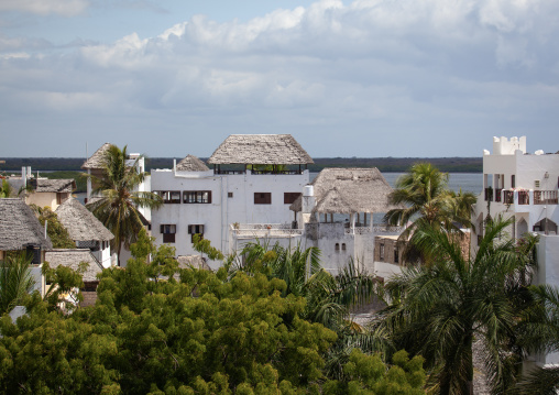 Stone townhouses and luxury mansions with thatched roofs, Lamu County, Shela, Kenya