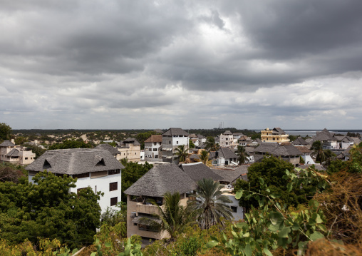 Stone townhouses and luxury mansions with thatched roofs, Lamu County, Shela, Kenya