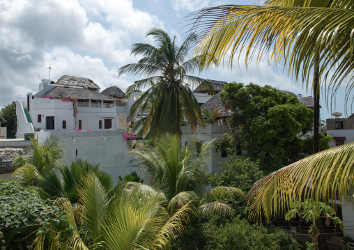 Stone townhouses in the palm trees, Lamu County, Shela, Kenya