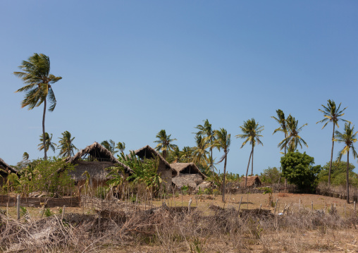 Traditional swhaili village, Lamu County, Siyu, Kenya