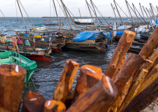 Dhows standing by the dockside, Lamu county, Lamu town, Kenya