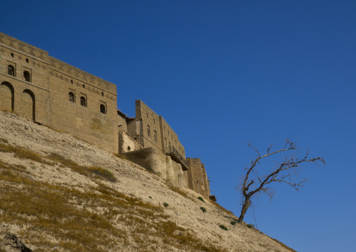 The Citadel, Erbil, Kurdistan, Iraq