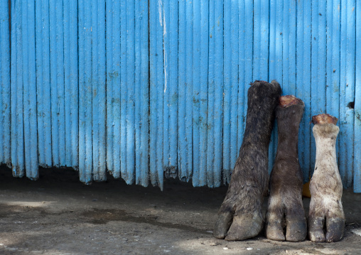 Yak Paws At Kochkor Market, Kyrgyzstan