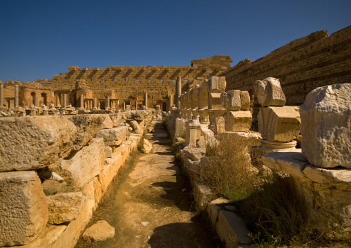 Severan forum in leptis magna, Tripolitania, Khoms, Libya