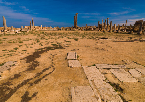 Ruins of a temple, Tripolitania, Sabratha, Libya