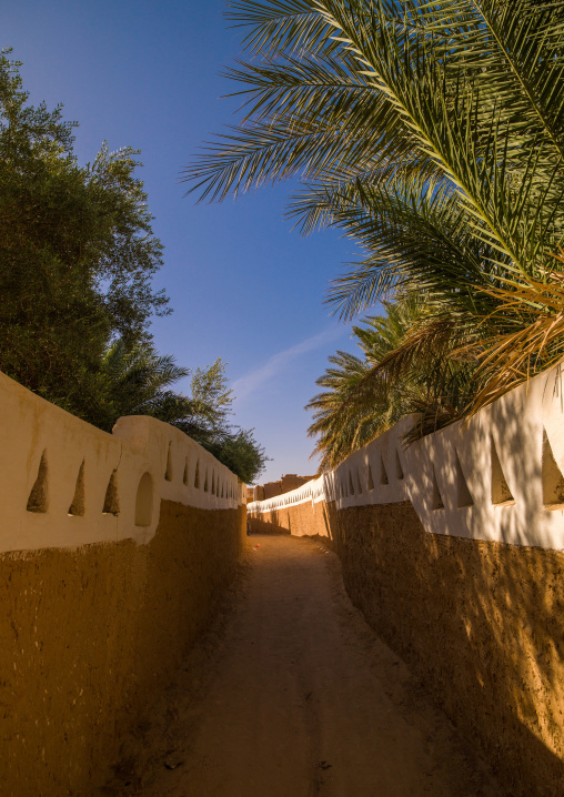 Narrow street in the oasis, Tripolitania, Ghadames, Libya