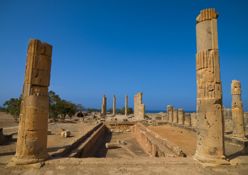 Villa of columns, Cyrenaica, Ptolemais, Libya