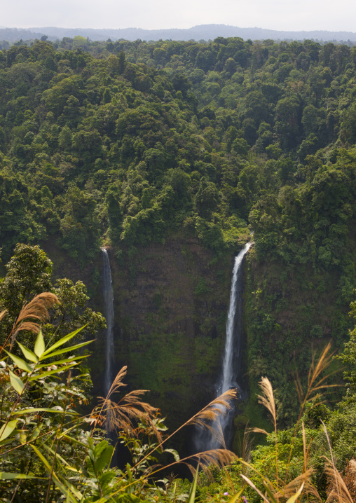 Tad fane waterfall, Boloven, Laos