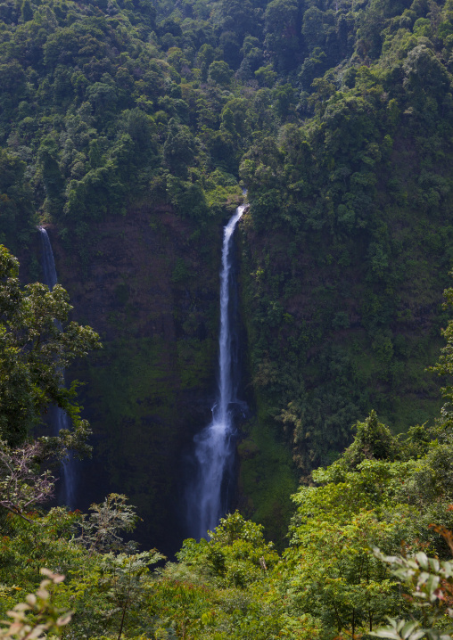 Tad fane waterfall, Boloven, Laos