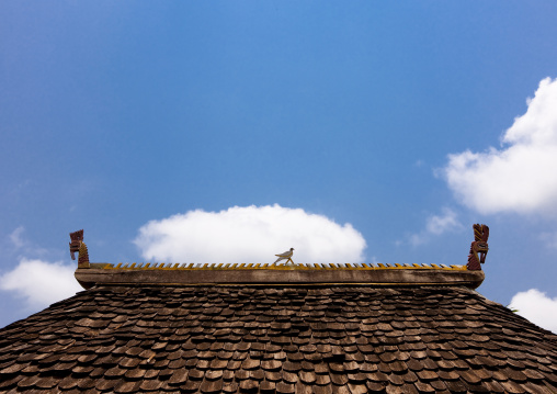 Alak common house roof, Boloven, Laos