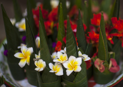 Flower tributes at wat phu, Champasak, Laos