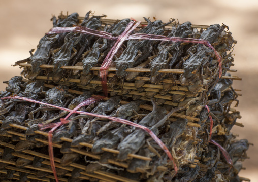 Dried frogs, Don khong island, Laos