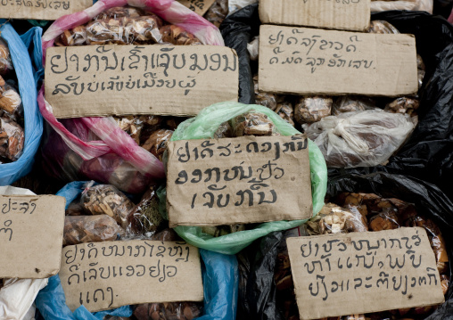 Lao traditional medicine at morning market, Pakse, Laos