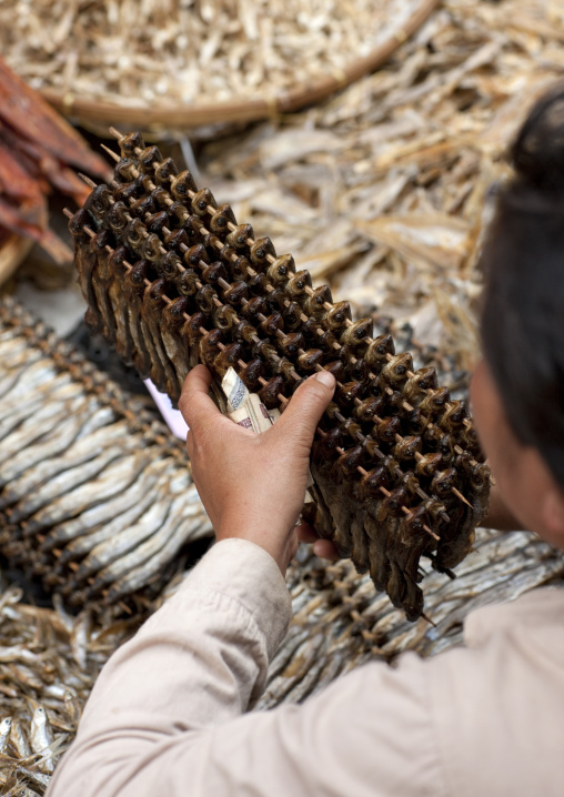 Dried fishes brochettes in a market pakse, Laos