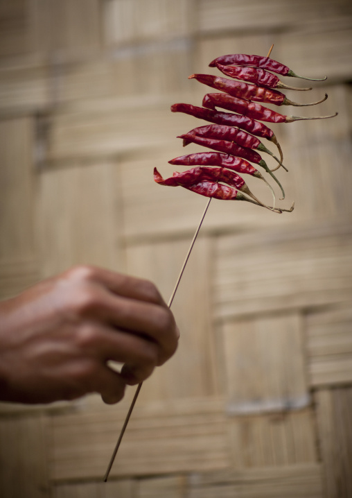 Woman holding chillies, Houei xay, Laos