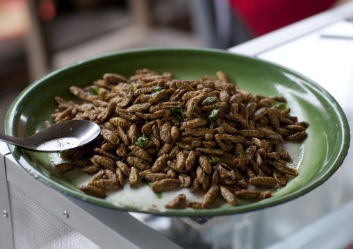 Caterpillars sold in a  market, Luang namtha, Laos