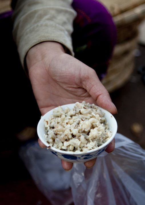 Woman holding a bowl of food, Muang sing, Laos