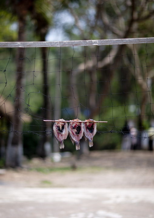 Dried fish on volley ball net, Ban ta mi, Laos