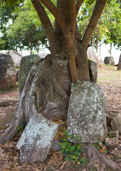 Plain of jars on xieng khuang plateau, Phonsavan, Laos