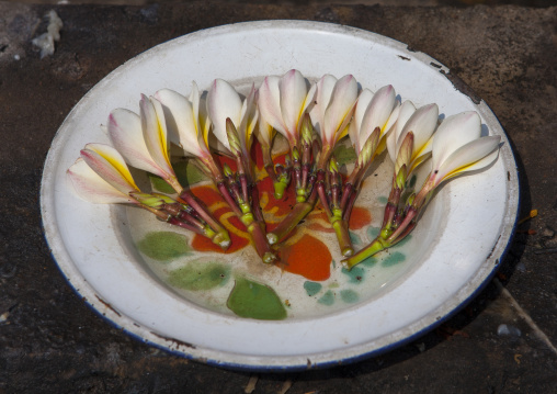 Religious offering, Vientiane, Laos