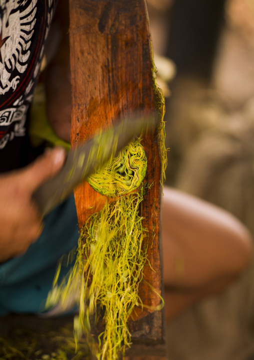 Khmu minority woman cutting cabbage, Xieng khouang, Laos